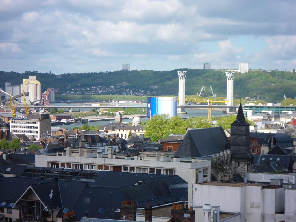 43.Pont Gustave Flaubert.jpg