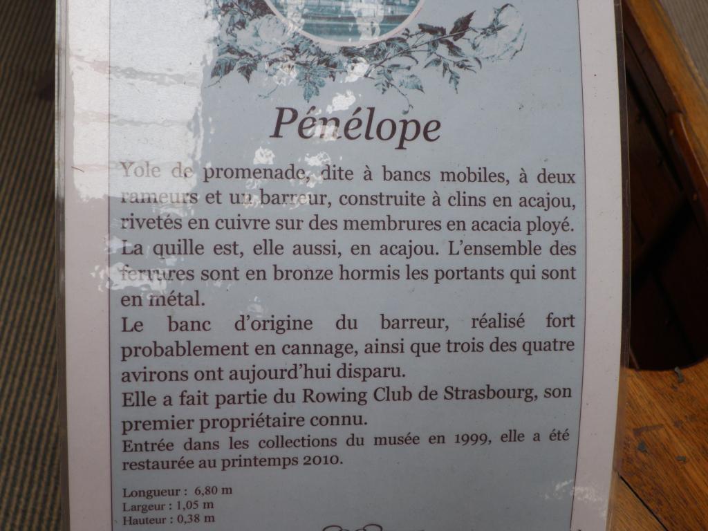 37.Penelope.jpg