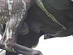 20.Statue Ferdinand.jpg 20.Statue Ferdinand.jpg